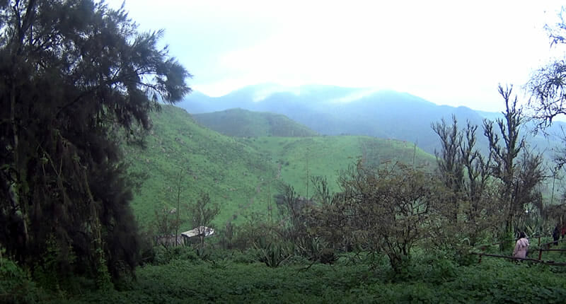 Nationalpark Lomas de Lachay