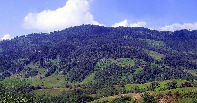 Cutervo Nationalpark Peru