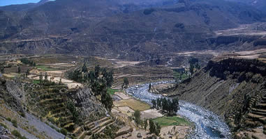 Terrassen im Colca-Tal
