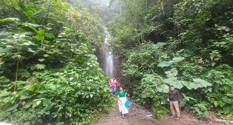 Catarata Virgen Ccasa, zona boscosa densa y húmeda
