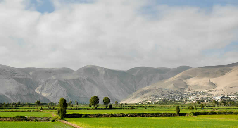 Valle del Río Camaná: fertilidad entre desierto, río y Pacífico
