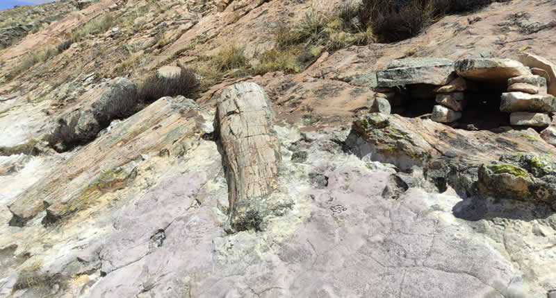 Bosque Petrificado de Kakenkorani: bosque fósil sobre Azángaro