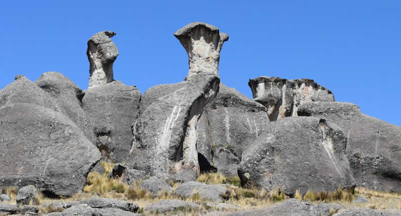 Bosque de Piedras de Chijos: bosque de piedra en el altiplano de Puno