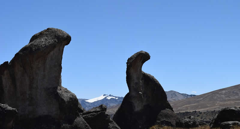 Roca con forma de brontosaurio