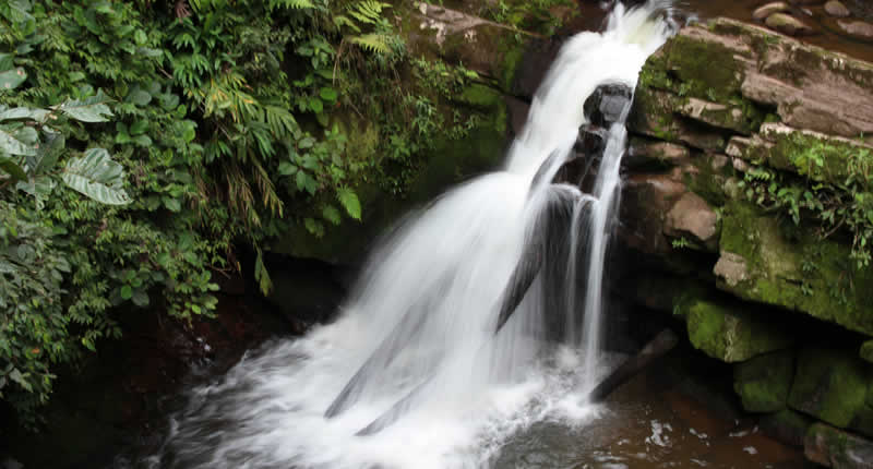Cascada El León – der Löwenwasserfall von Villa Rica