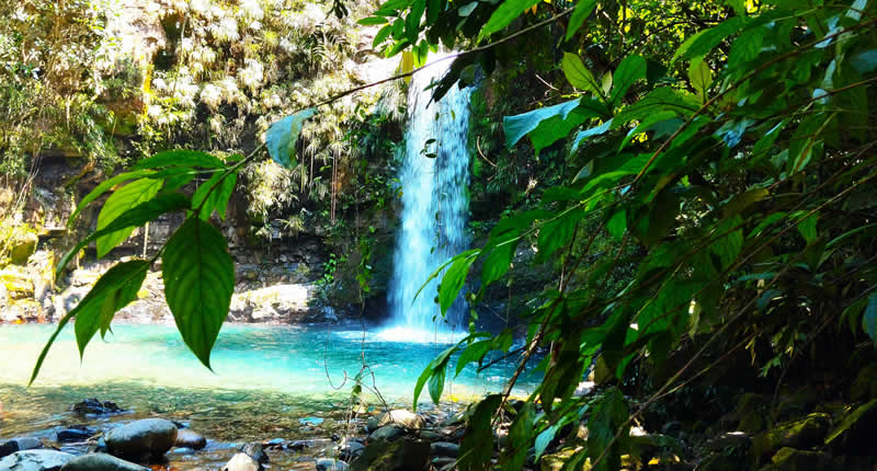 Catarata Alccochaka – Smaragdgrüner Naturpool im Regenwald von San Gabán
