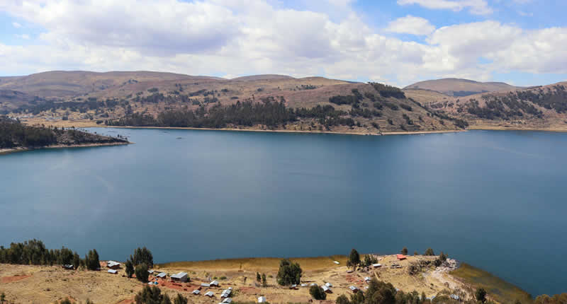 Isla San Pedro de Juspique: mundo insular andino frente a Moho en el lago Titicaca