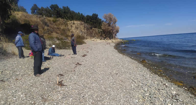 Isla Soto: santuario insular andino frente a Conima en el lago Titicaca