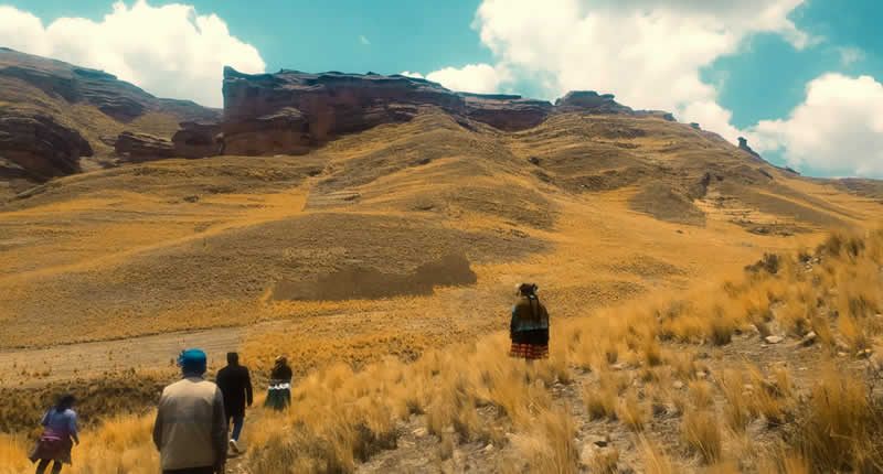 Paisaje con plantas de airampo en Laccaya Tinajani