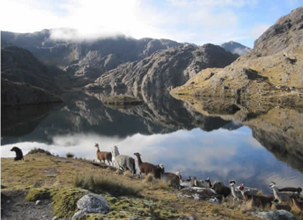 Laguna andina en la región Suni